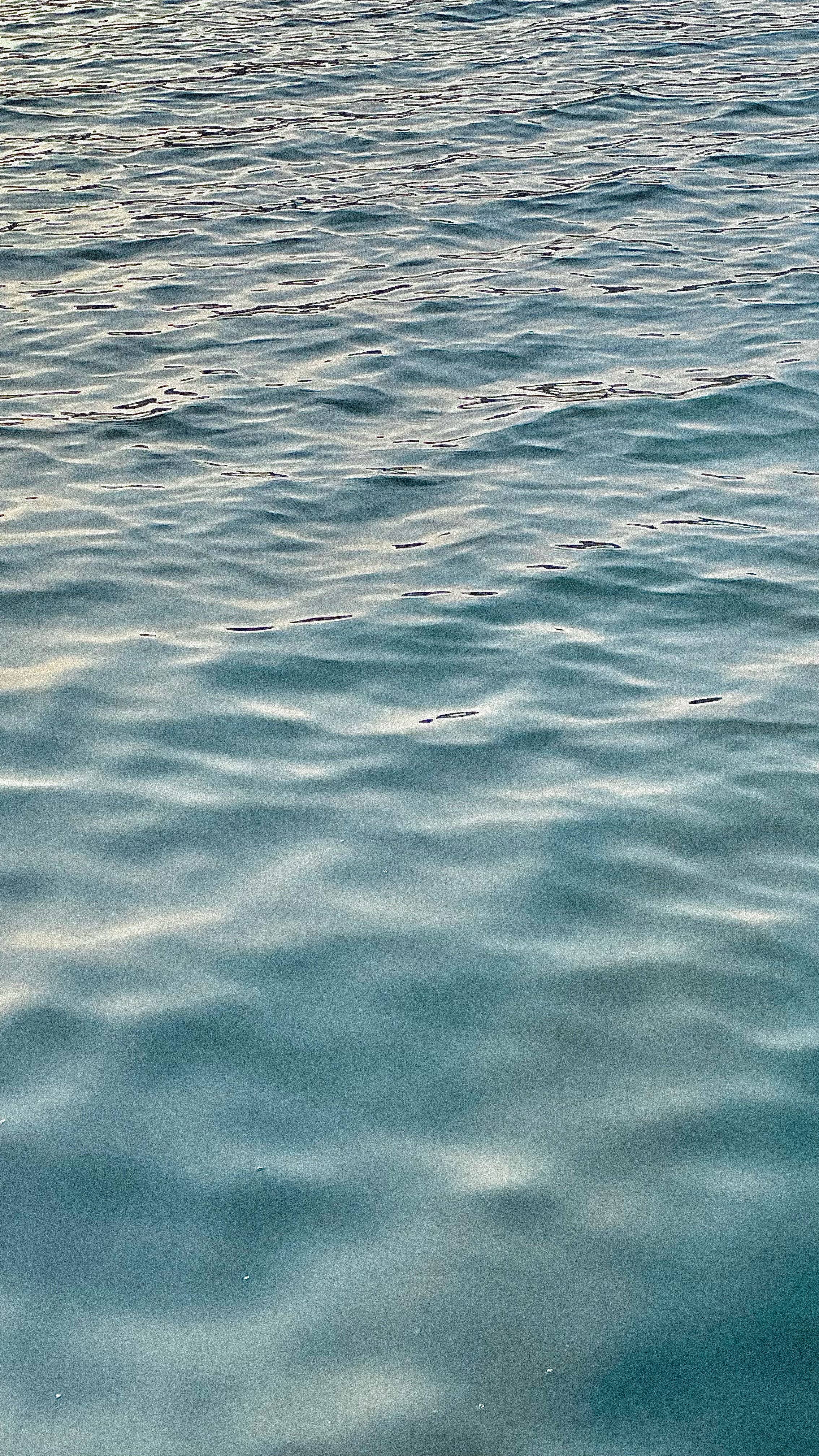 인어와 만난 시간_00.jpeg