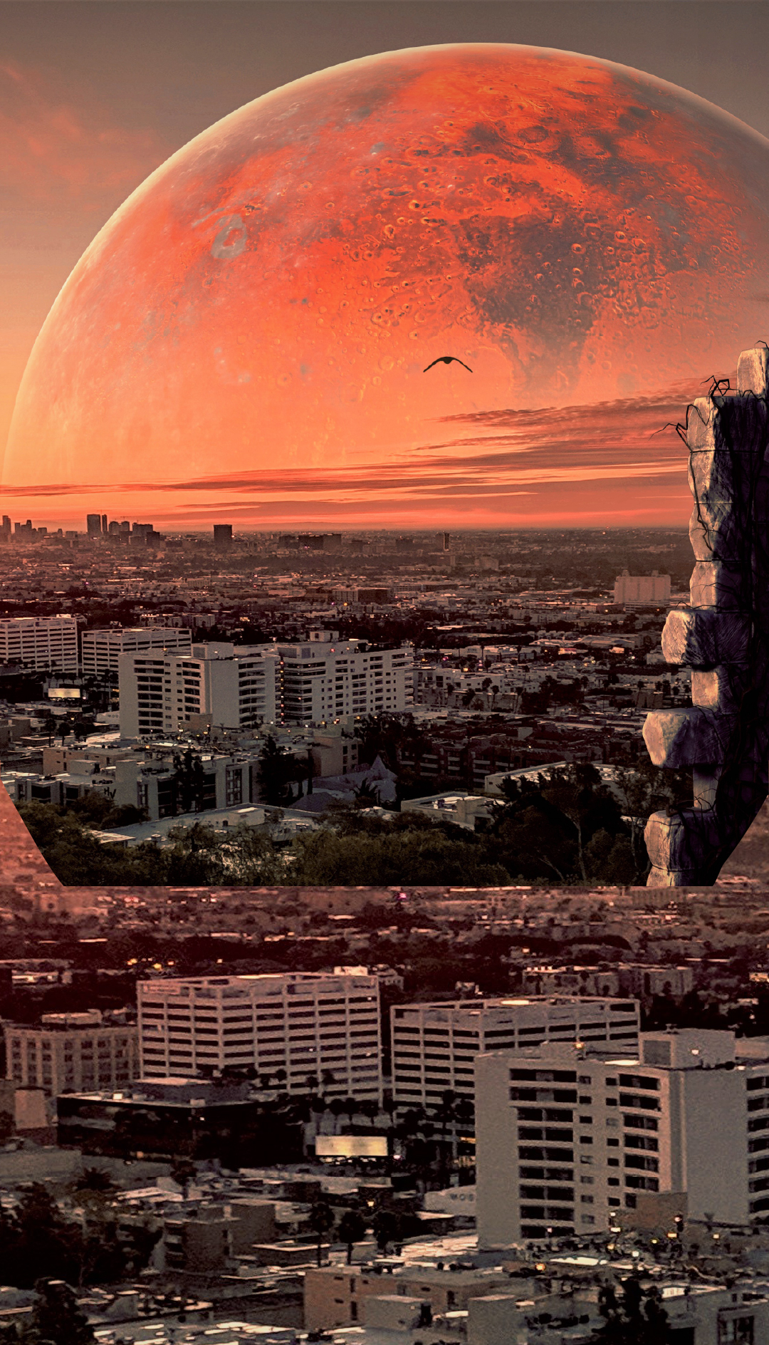 대지 1+지구에서화성까지.jpg