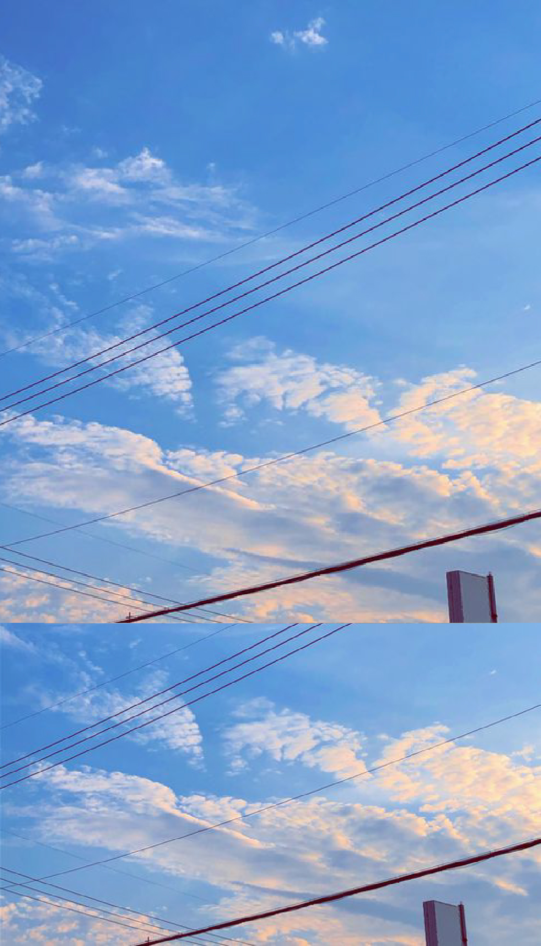 대지 1+회님+도는선.jpg